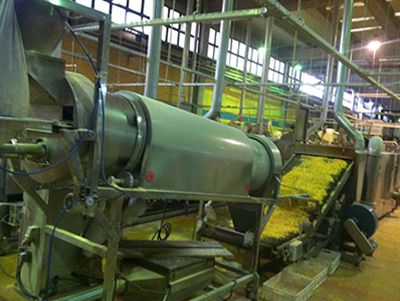 Doritos Corn Tortilla Chips Production Line