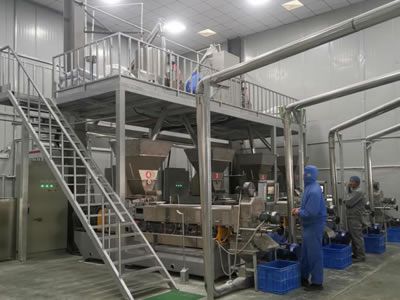 Fortified Rice & Nutrition Rice Production Line