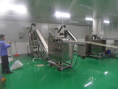 Bread Crumbs & Panko Crumbs Production Line