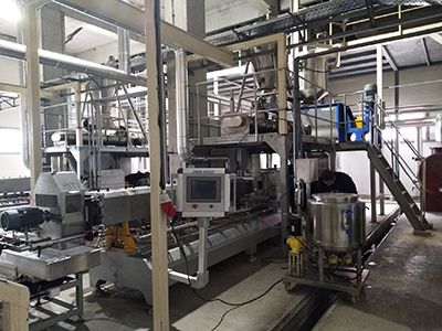 Textured Soy Protein & Soya Nugget Production Line