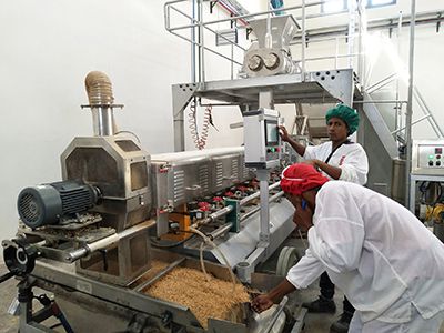 Textured Soy Protein & Soya Nugget Production Line