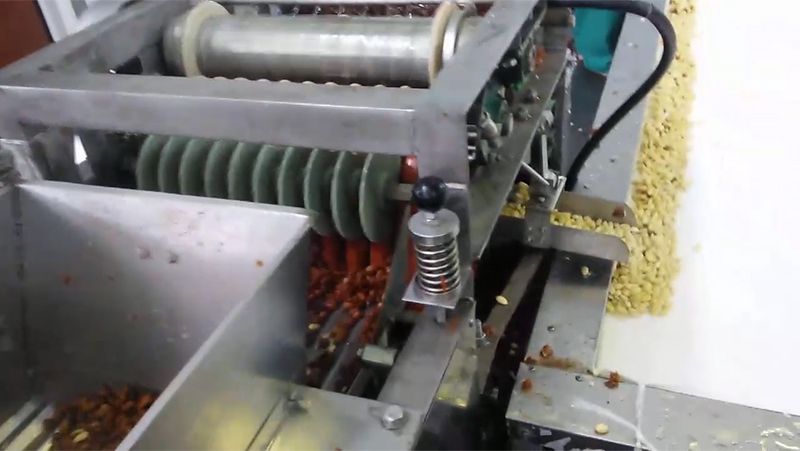 Raw Nuts Peeling Machine