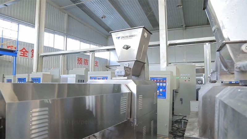 2D/3D Pellet Snack Production Line