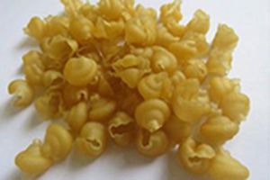 Extruded Pellet Machine